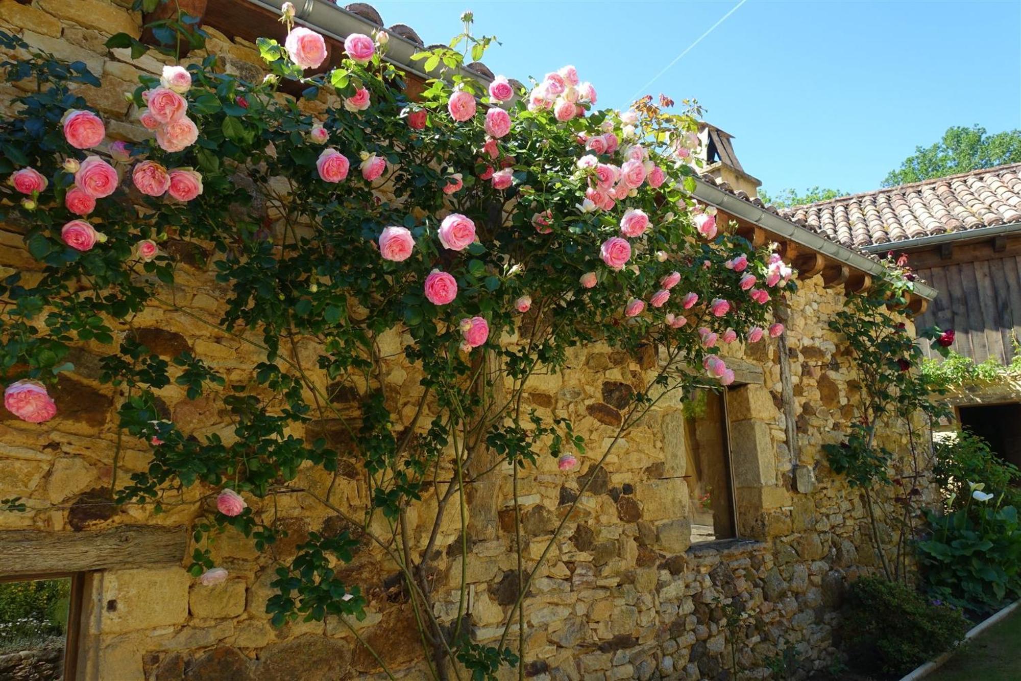 Domaine De Cournet Haut, A 17Th Century Property Set On A Calm, Idyllic Domain With Pool, Tennis, Bikes And More Les Vauries Екстер'єр фото